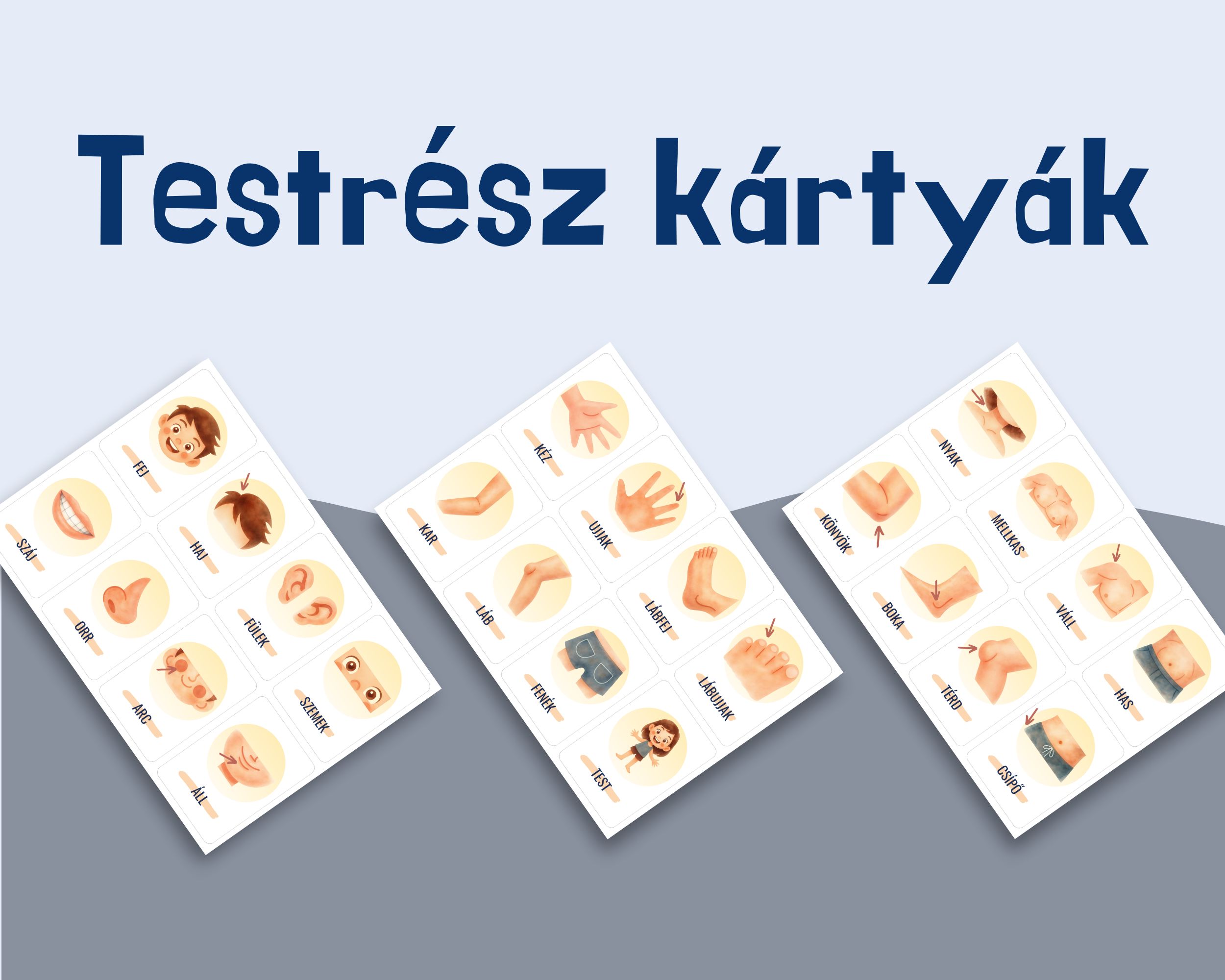 testrész kártyák